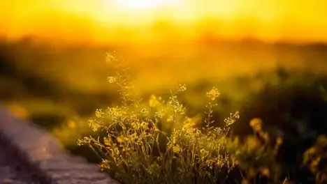 电竞圈风波：TES战队Knight（左手）评“中路差距”引争议，Rookie粉丝暴怒声讨